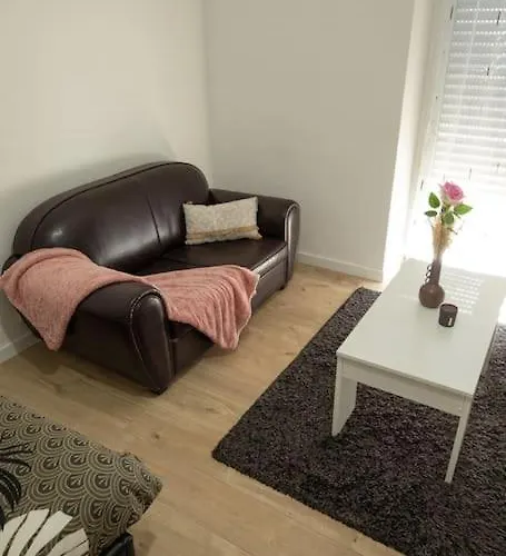 New Proche Gare Et Centre-ville Apartment Colmar