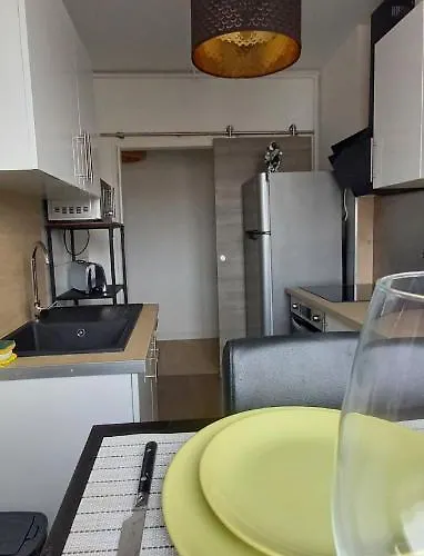 New Proche Gare Et Centre-ville Apartment Colmar